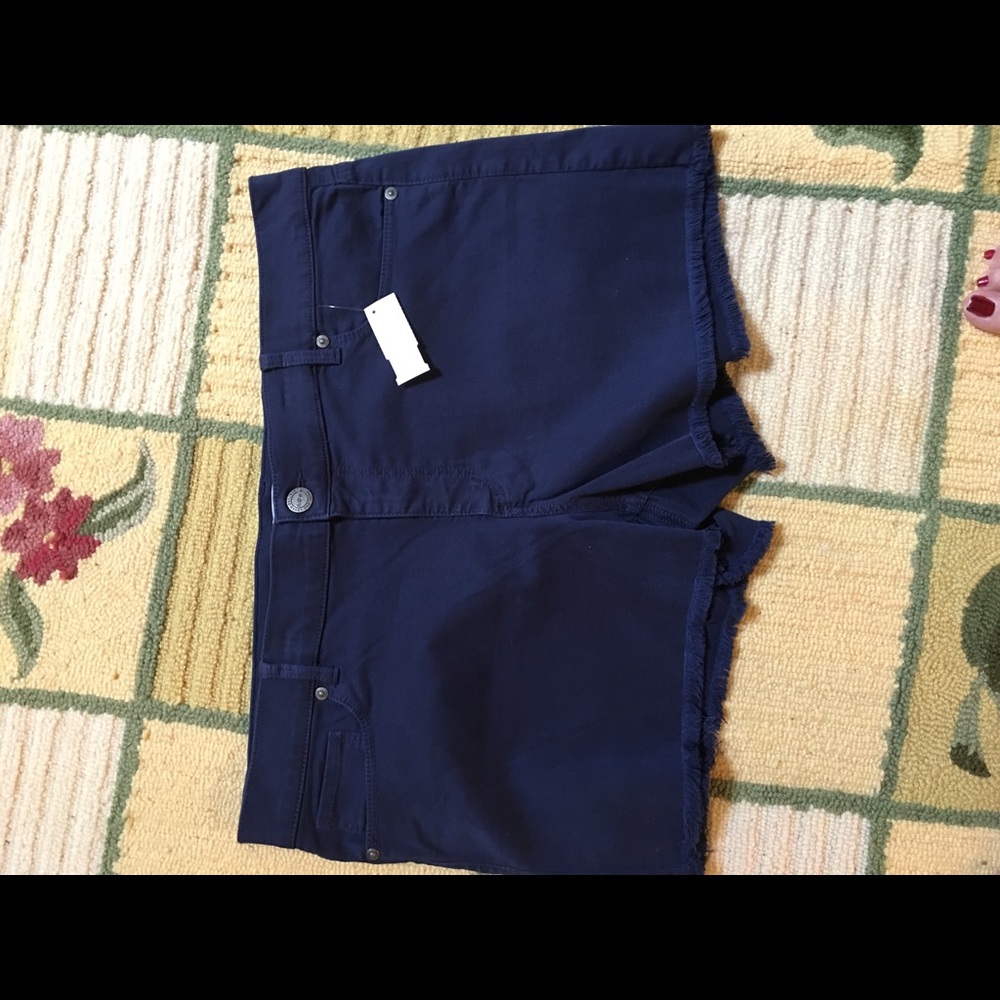 Loft blue shorts